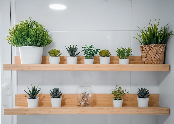 Apartamento La Tana Centro 2